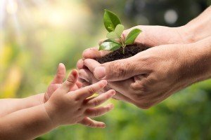 https://bibleleague.ca/donate/how-to-give/